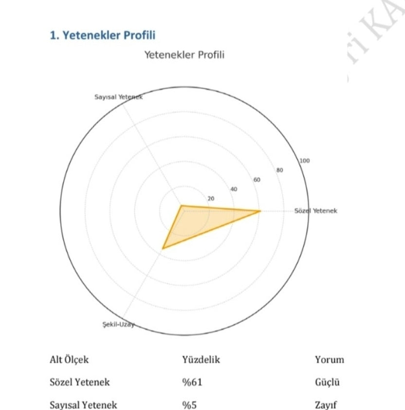 MESLEK YÖNELİM VE HEDEF BELİRLEME TESTLERİ